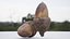 Photoscanned Acorn 4K