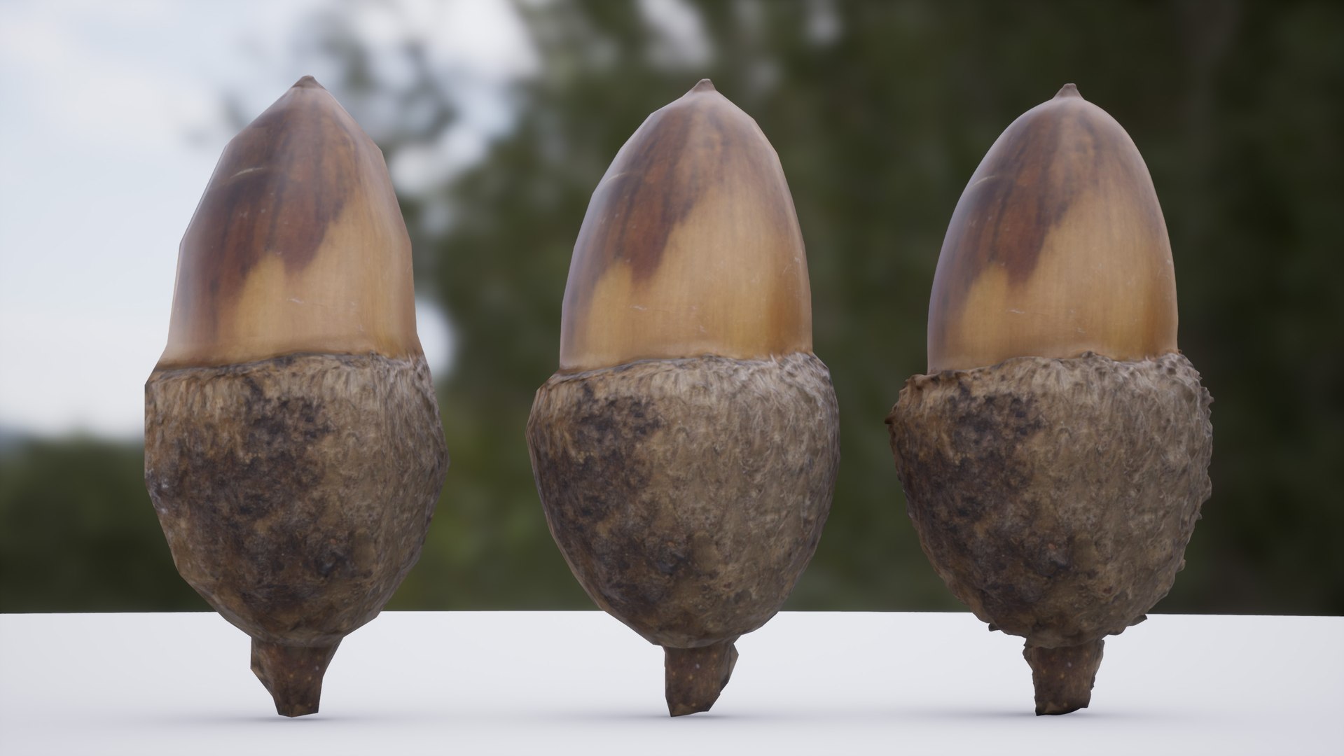 acorn photoscanned model https://p.turbosquid.com/ts-thumb/m6/xp3IVU/SQPSgfpK/highresscreenshot00005/jpg/1541608950/1920x1080/fit_q87/8f005d99a9d55e6d1fa513755c96436ab8ff9392/highresscreenshot00005.jpg