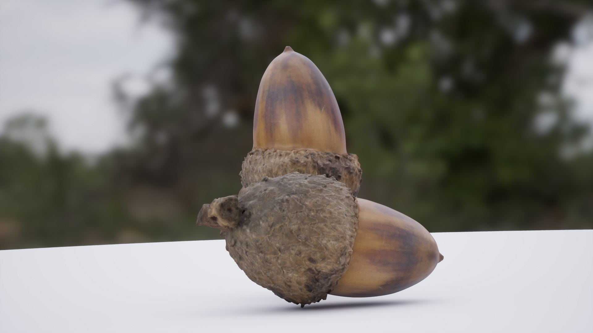 acorn photoscanned model https://p.turbosquid.com/ts-thumb/m6/xp3IVU/ePERFlvH/highresscreenshot00025/jpg/1541608741/1920x1080/fit_q87/a9a888731aa898522a57c8ead1e13c68340458bd/highresscreenshot00025.jpg
