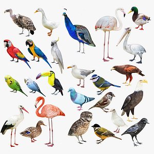 Flying Birds 25 in 1