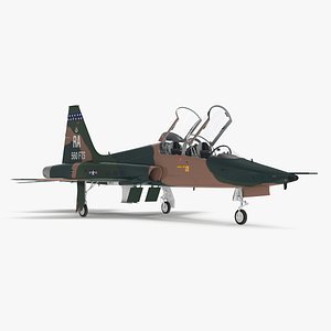 Military T-38 Talon Jet Trainer Camo