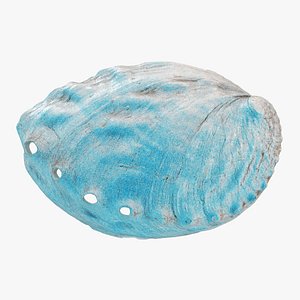 Blue Abalone Shell