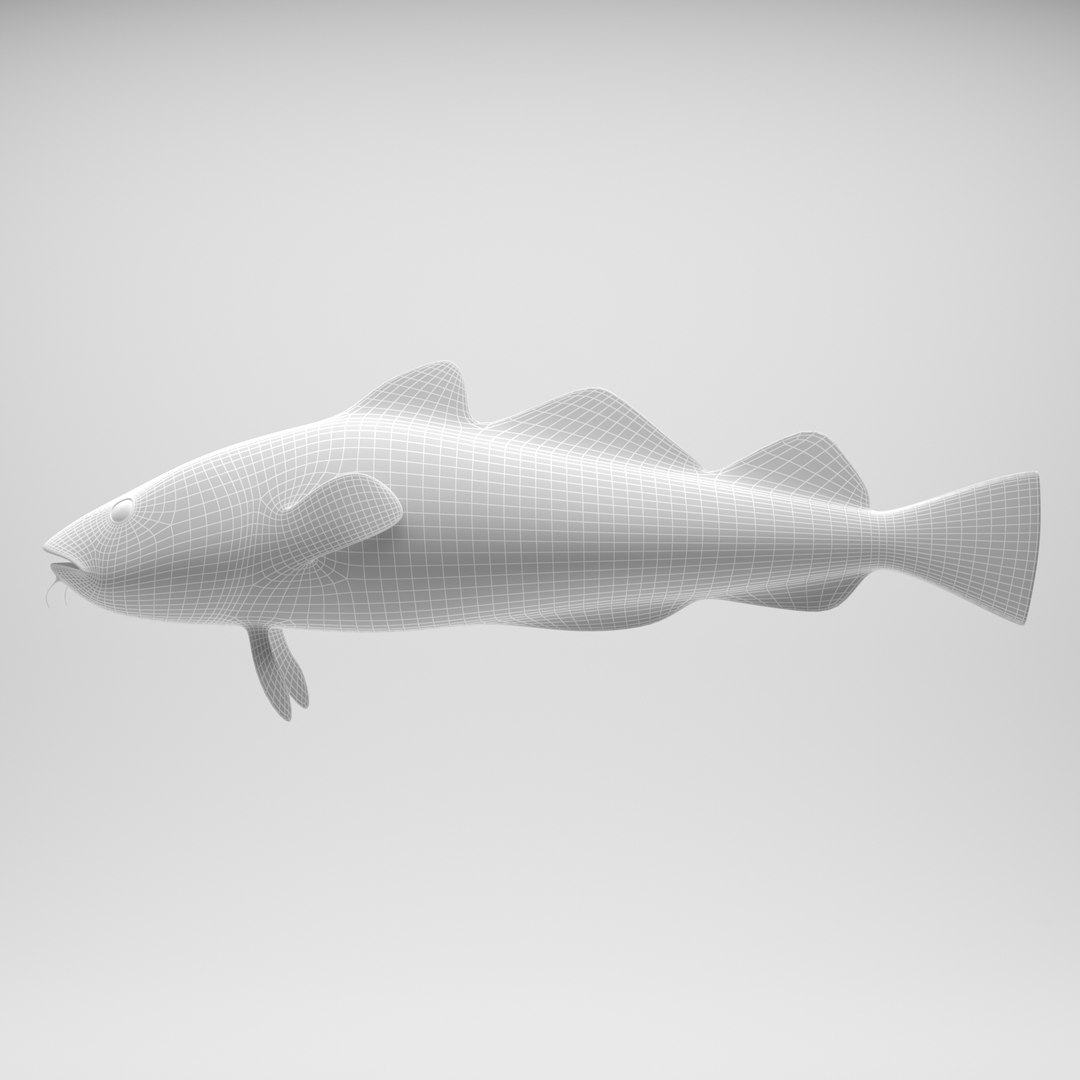 Cod Fish 3D Model - TurboSquid 1299408