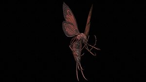 3D model FlyingBug2 A1