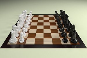 king bishop rook pawn model