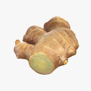 Ginger Cut 3D model