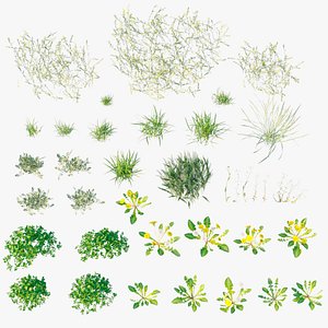 Spring summer grass 3D model