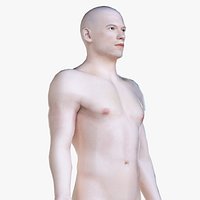 Human Male Body (Low Poly)