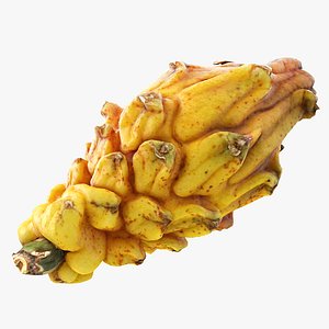 3D yellow dragonfruit model