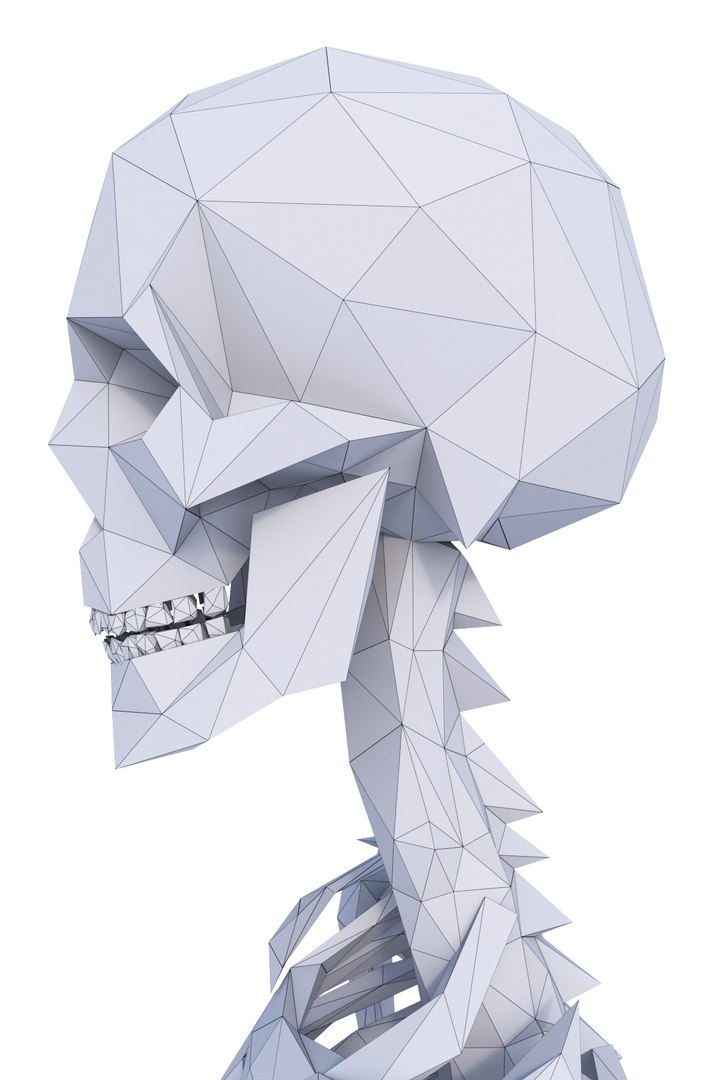 Human Skeleton 3D Model - TurboSquid 1310691