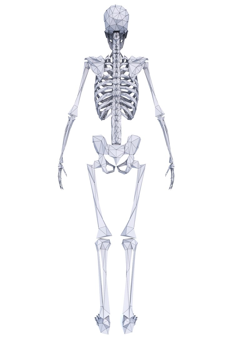 Human Skeleton 3d Model - Turbosquid 1310691