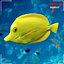 Sea bottom collection by 3DRivers