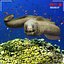 Sea bottom collection by 3DRivers