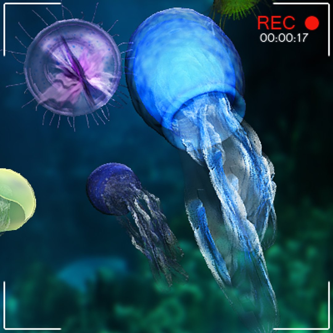 sea underwater fishes 3d 3ds https://p.turbosquid.com/ts-thumb/m8/DMME7e/TJ2Mhtha/medusaset_vrayc7/jpg/1292399578/1920x1080/fit_q87/6430f2649df3f3f3ad427a2ab581dd1d6ba52384/medusaset_vrayc7.jpg