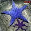 Sea bottom collection by 3DRivers