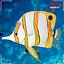 Sea bottom collection by 3DRivers