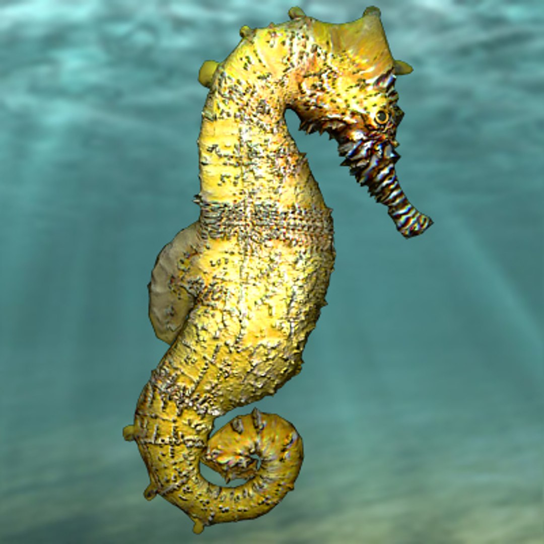 sea underwater fishes 3d 3ds https://p.turbosquid.com/ts-thumb/m8/DMME7e/sIzcSOVI/dragonc2/jpg/1292399578/1920x1080/fit_q87/7d59884598c8936178678e994439f2d17a19aeca/dragonc2.jpg