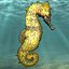 Sea bottom collection by 3DRivers