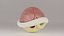  Blue shell: Mario Kart 3D model