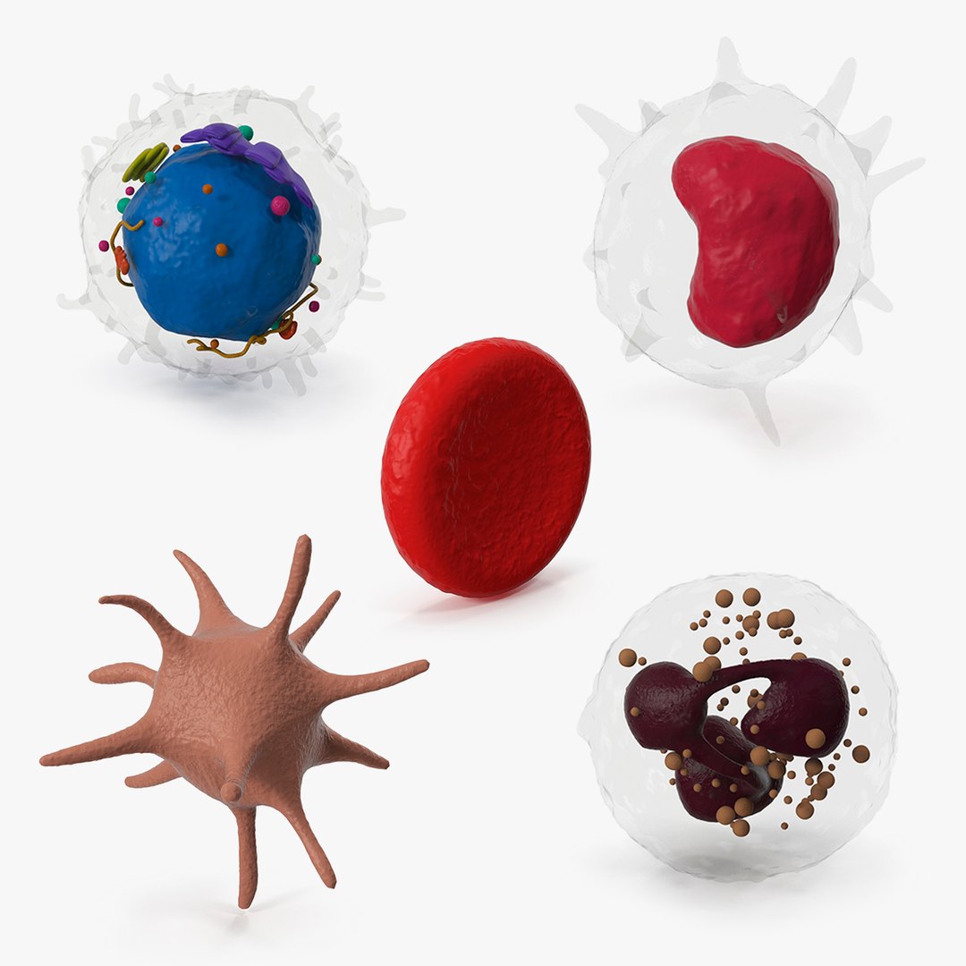 Blood Cells Collection 4 3D model preview