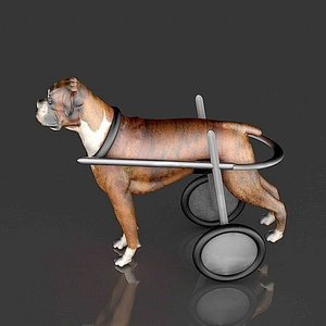 dog wheelchair 3D model
