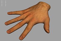 Hand - Modeled, Textured, Rigged