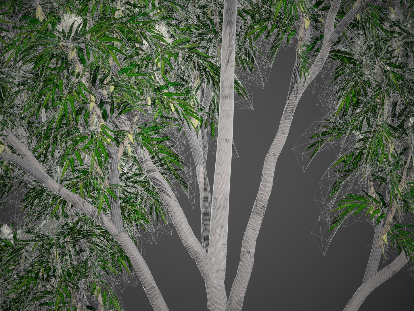 2021 PBR Ghost Gum Collection - Corymbia Apperinja 3D https://p.turbosquid.com/ts-thumb/m8/aNsUju/vU/screenshot007/jpg/1638814792/1920x1080/fit_q87/eeaba83570842a375e2371e1d9e09434f716c9d8/screenshot007.jpg