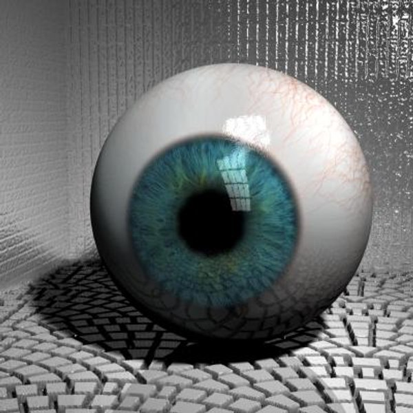 Free Anatomy Eye 3D Models For Download – PTJCCV