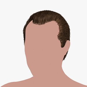 Hairstyle 46 3D model