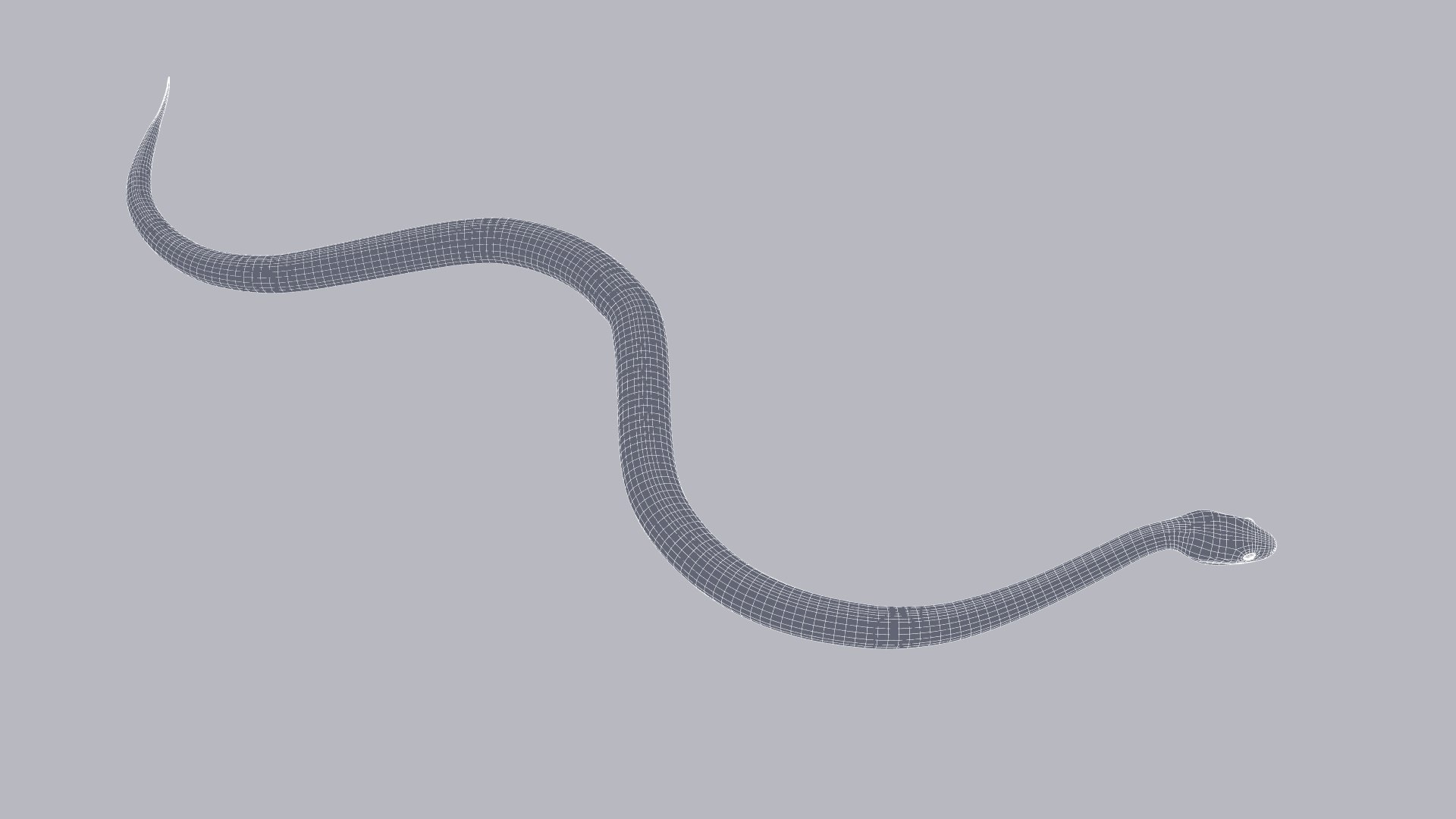3D Model Black Rat Snake - Static Poses - TurboSquid 2020541