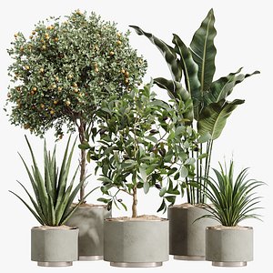 AV Indoor Plants Set 249 3D model