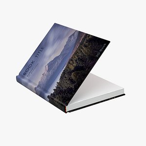 Book - Rigged