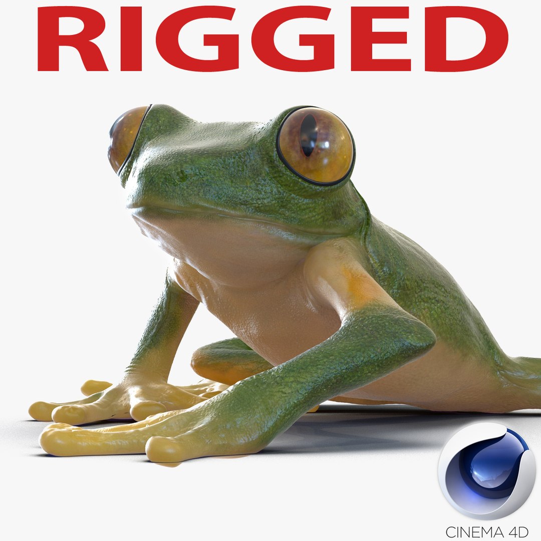 Tree Frog Rigged for Cinema 4D 3D model preview