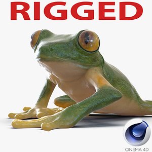 Tree Frog Rigged for Cinema 4D