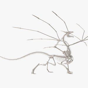 Dragon Skeleton Rigged for Maya 3D model