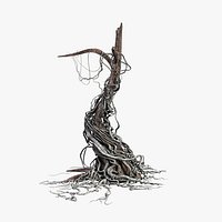 Liana Tree