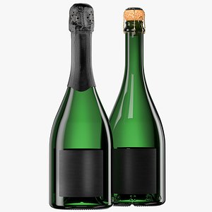 Champagne Bottle 3D