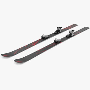3D model Snow Skis 4