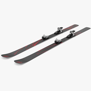 Snow Skis 4