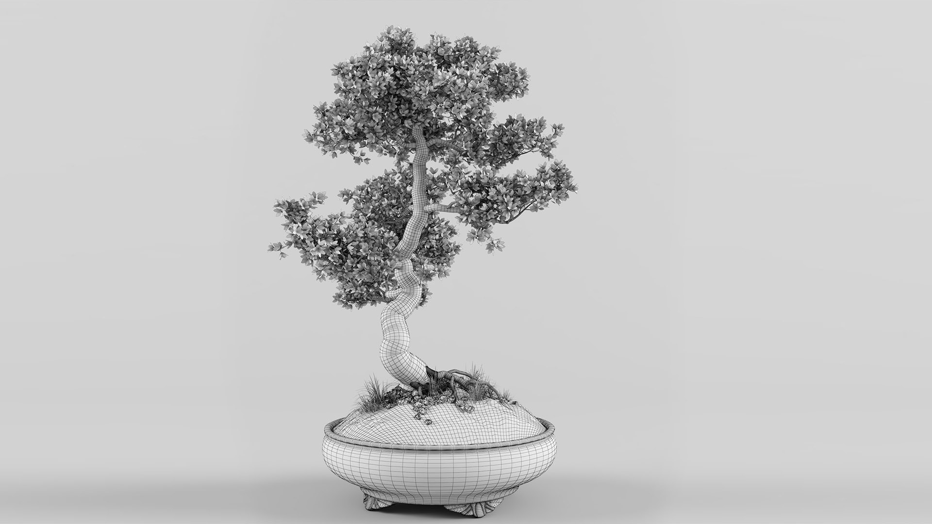 3D Printable Sakura tree bonsai by NEMO_MK2