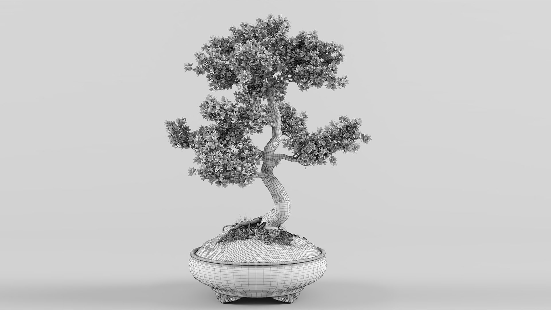 3D Printable Sakura tree bonsai by NEMO_MK2