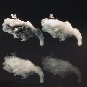 Smoke 31 3D model