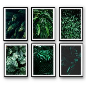 3D model tropical leaves set 2