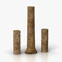 Sabal palm trunk PBR 16K
