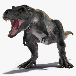 T Rex Roaring Animated Rigged