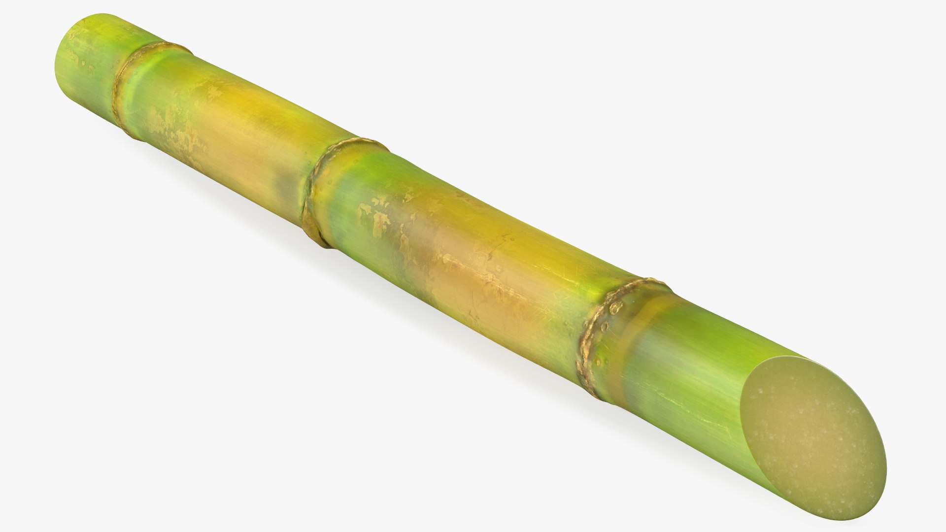 Green Sugarcane Stick 3D model preview