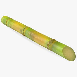 Green Sugarcane Stick model