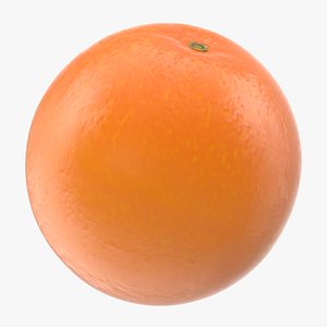 ripe orange fruit cartoon 3D model