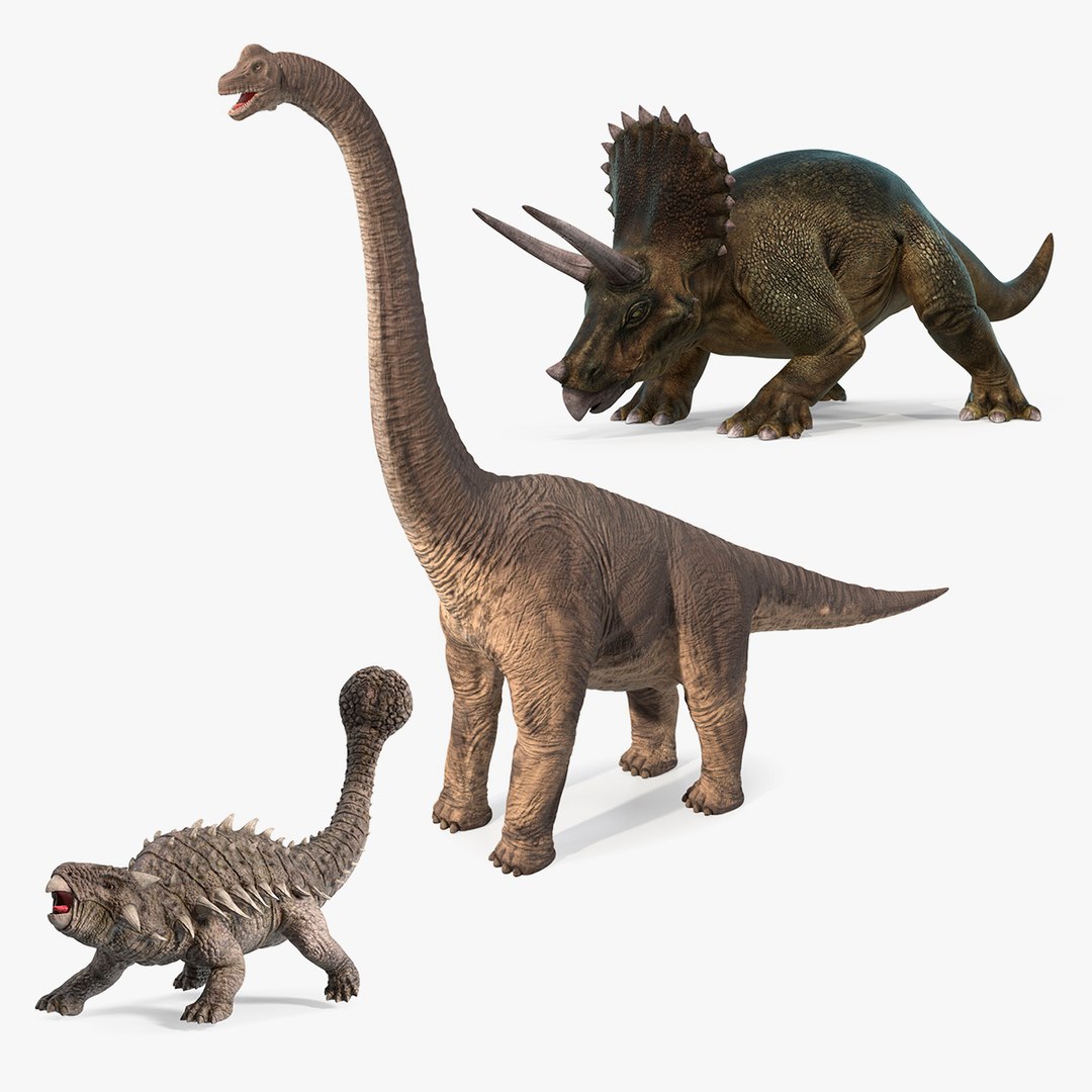 Herbivorous Dinosaurs Collection 3D model preview