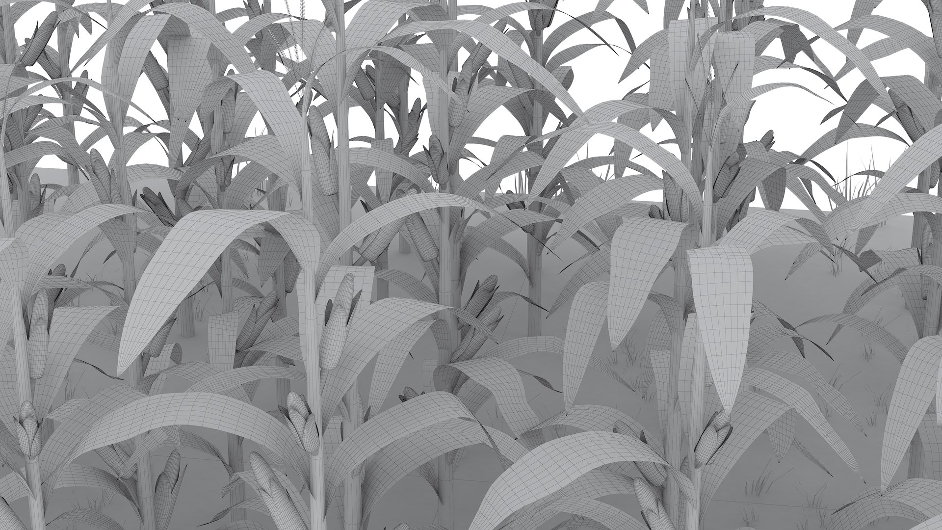 Corn Field Mid 3D model https://p.turbosquid.com/ts-thumb/mA/PRZBdc/67/cornfieldmid21/jpg/1723715011/1920x1080/fit_q87/7888b70e654f8582e5f7461d1a0b30e012247ad4/cornfieldmid21.jpg